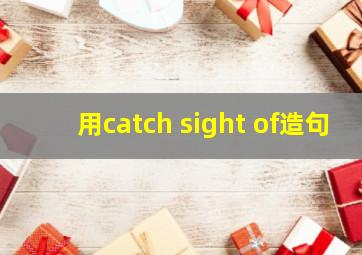 用catch sight of造句